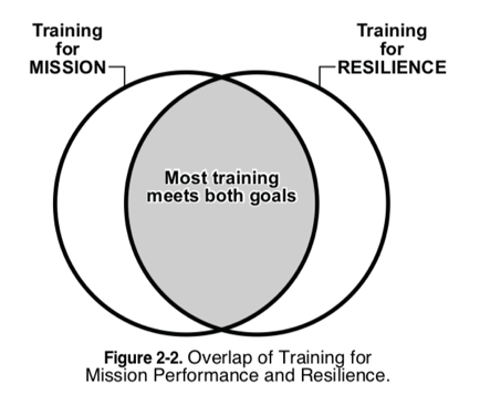 Vicarious Trauma And Resilience In First Responders 3